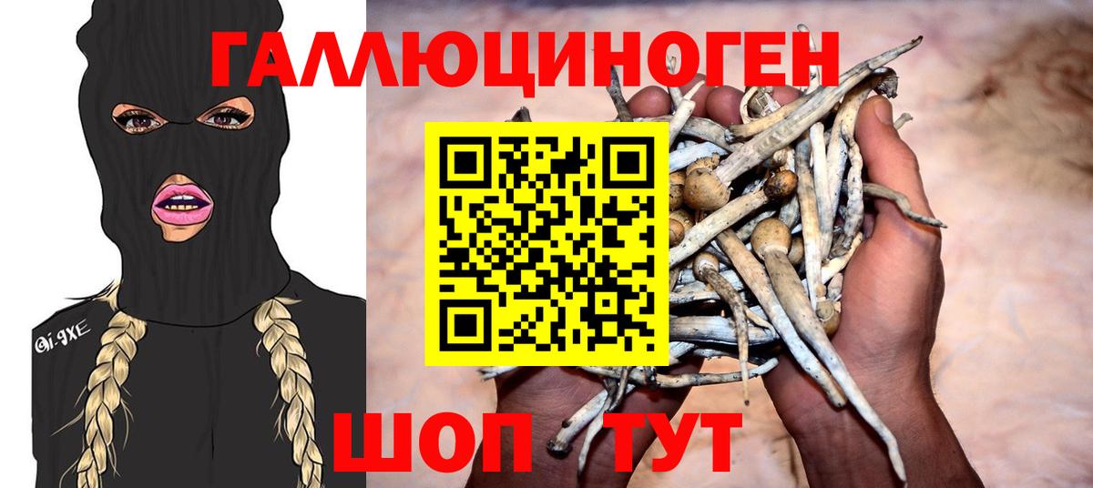 Галлюциногенные грибы ЛСД Сергиев Посад